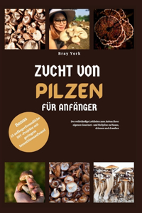 Zucht Von Pilzen Für Anfänger