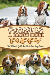 Raising A Basset Hound Puppy