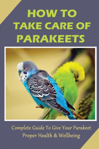 How To Take Care Of Parakeets