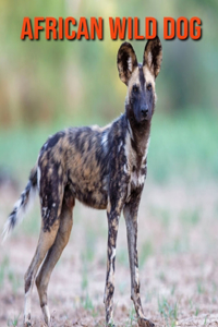 African Wild Dog: Beautiful Pictures & Interesting Facts Children Book About African Wild Dog