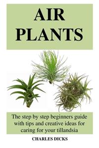 Air Plants
