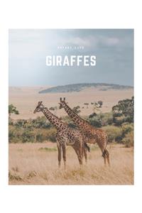 Giraffes