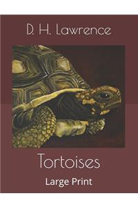 Tortoises