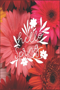 Hello Spring