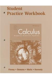 Calculus Practice Workbook 2007c