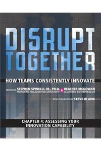 Assessing Your Innovation Capability (Chapter 4 from Disrupt Together)