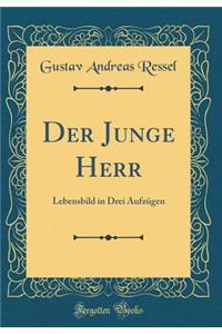 Der Junge Herr: Lebensbild in Drei AufzÃ¼gen (Classic Reprint)