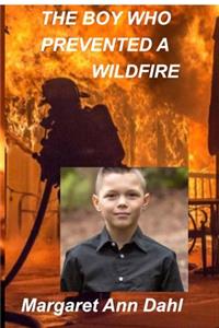 The boy who prevented a wildfire