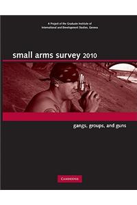 Small Arms Survey 2010