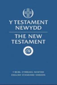 Testament Newydd, y / New Testament