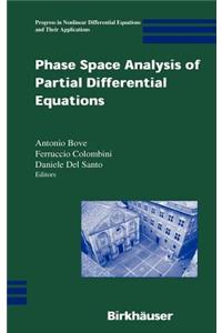 Phase Space Analysis of Partial Differential Equations