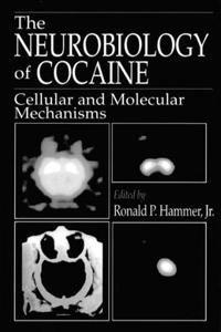 The Neurobiology of Cocaine