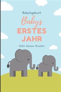 Babytagebuch Babys Erstes Jahr Hallo Kleines Wunder