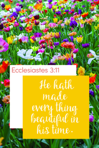 General Worship Bulletin: Everything Beautiful (Package of 100)