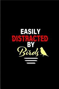Easily Distracted by Birds