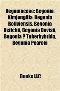 Begoniaceae: Begonia, Kimjongilia, Begonia Boliviensis, Begonia Veitchii, Begonia Davisii, Begonia X Tuberhybrida, Begonia Pearcei