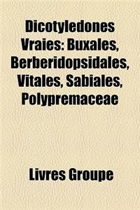 Dicotyldones Vraies