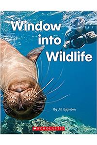 Window Into Wildlife