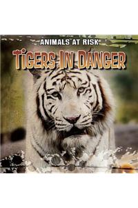 Tigers in Danger