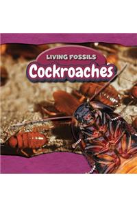 Cockroaches