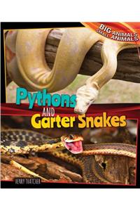 Pythons and Garter Snakes