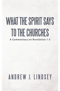 What the Spirit Says to the Churches