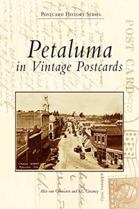 Petaluma in Vintage Postcards