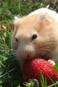 Golden Hamster Enjoying a Ripe Red Strawberry Journal