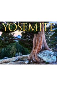 Cal 2021- Yosemite National Park Wall