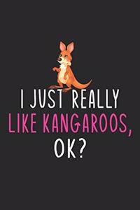 I Just Really Like Kangaroos Ok?