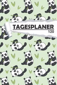 Tagesplaner Panda im Bambus