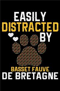Easily Distracted by Basset Fauve de Bretagne