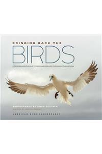 Bringing Back the Birds