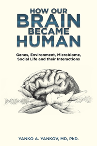 How Our Brain Became Human