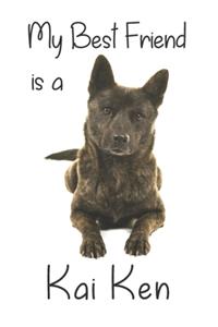 My best Friend is a Kai Ken