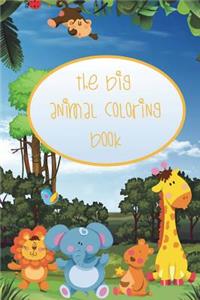 The Big Animal Coloring Book