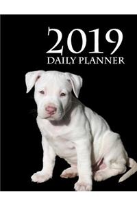 2019 Daily Planner