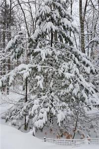 2019 Weekly Planner Woods After Snowstorm Winter Weather 134 Pages