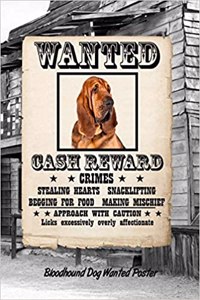 Bloodhound Dog Wanted Poster