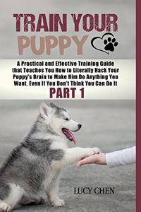 Train your Puppy