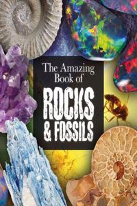 The Amazing Book of Rocks and Fossils