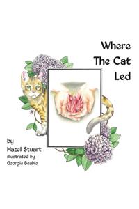 Where the Cat Led