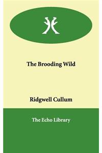 The Brooding Wild