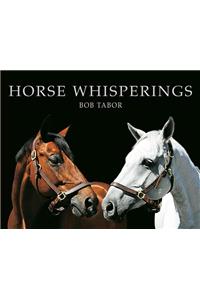 Horse Whisperings: Portraits by Bob Tabor