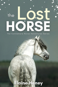 Lost Horse - Book 6 in the Connemara Horse Adventure Series for Kids