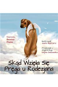 Skad Wziela Sie Prega u Rodezjana