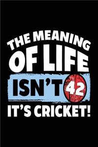 The Meaning of Life Isn't 42 It's Cricket