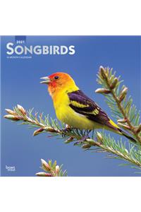 Songbirds 2021 Square Foil