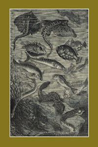 Carnet Ligné Vingt Mille Lieues Sous Les Mers, Jules Verne, 1871