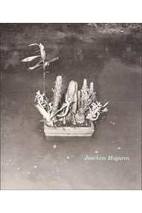 Joachim Mogarra, 1981-1993